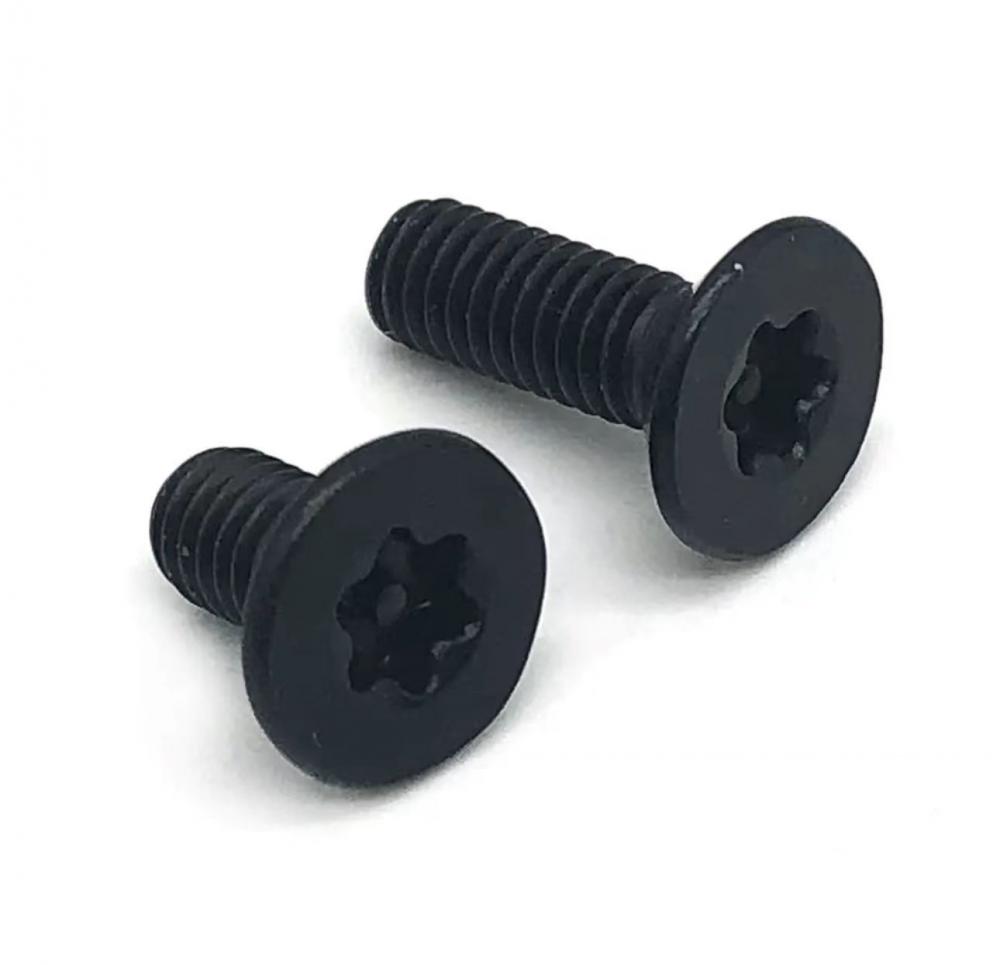 Stainless Steel Torx Screws