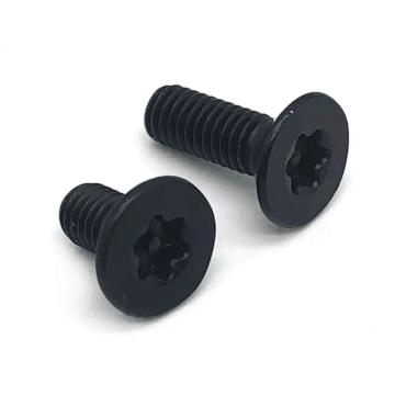 Stainless Steel Torx Screws