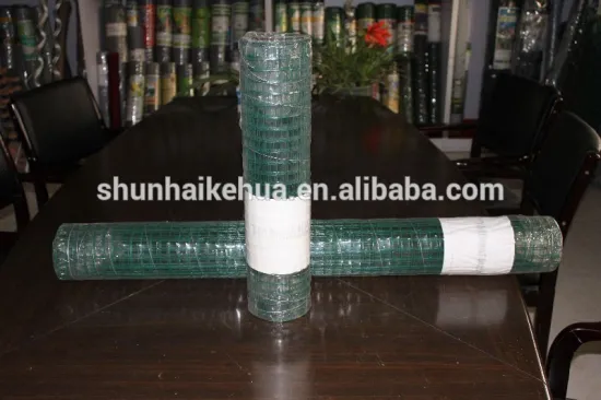 Hengshui Factory supply High quality low price gavanized welded wire mesh