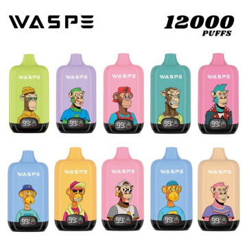 Wholesale Waspe 12000 puffs disposable vape Puffs double