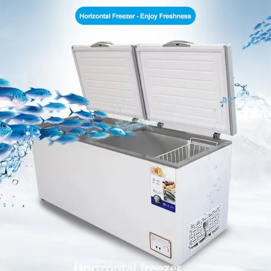 Wholesale OEM Double Door Big White with Panel Chest Freezer