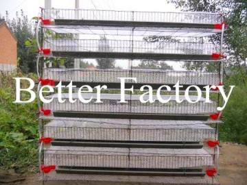 BT Factroy Hot-sale high quality wire mesh layer quail cages for sale in Uganda