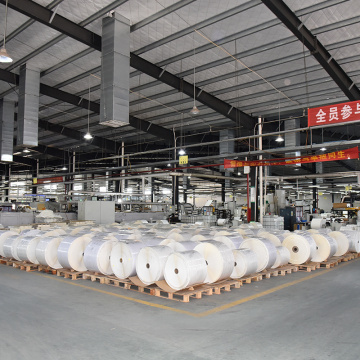 Self Adhesive Direct Thermal Label Jumbo Rolls