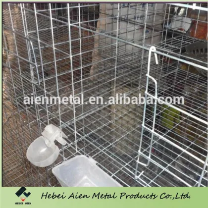 pigeon cage