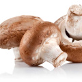 La meilleure qualité Natural Shiitake Mushroom Extrait 50% Lentinan