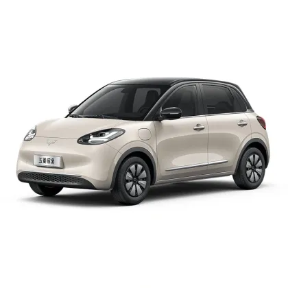 Pure Electric Wuling Binge EV: Inexpensive Small Chinese Cars