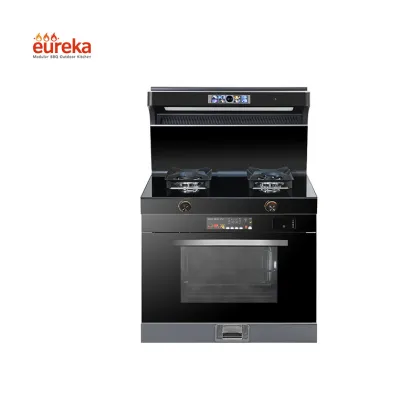The Latest Design of New Integrated Cooker Power-Saving Kitchen Hood with Integrated Gas Stove