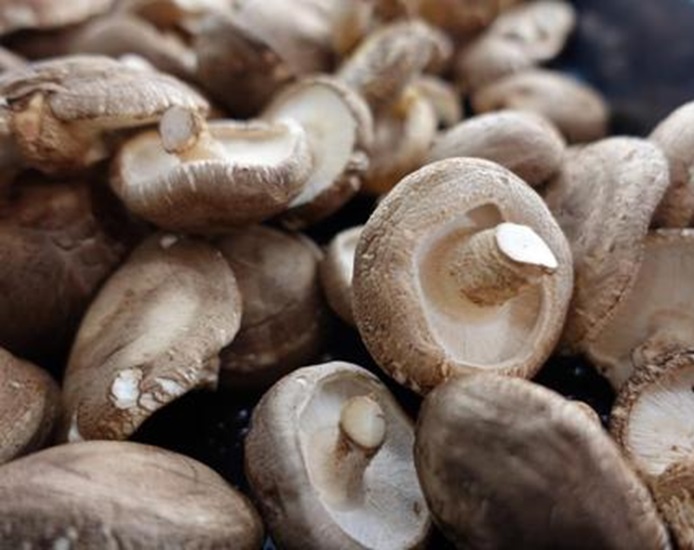 Shiitake Mushroom