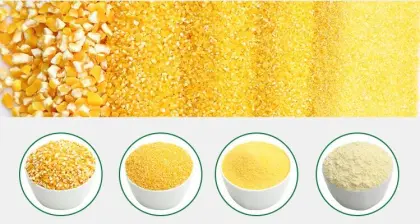 Complete Corn Flour Mill