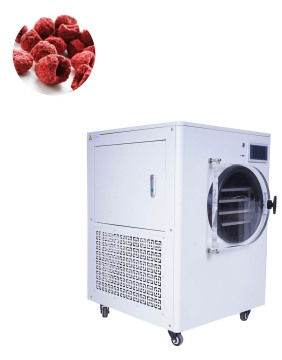 Stainless Steel Vacuum Freeze Dryer Machine for Coffee and Food