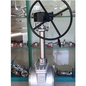 Cryogenic butterfly Valve