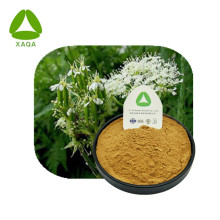 No Extract Powder Pure Nature Free Sample