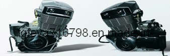 250CC Motorcycle Engine (JL253FMM-3 S21E)