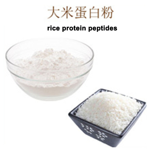 Pure Rice Peptide Food Grade natural Raw material Rice peptides Factory