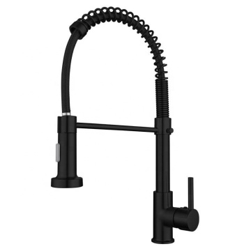 Contemporary Spring Pull Down Spray 304 Stainless Steel Kitchen Faucet for Hotel Apartment Kitchen