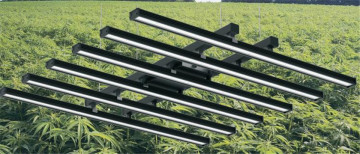 Superventas Led de interior crece la luz
