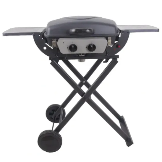 Wholesale Folding Portable Outdoor 2 Burners Camping BBQ Gas Grill
