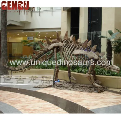 Museum Simulation Dinosaur Fossil Replicas 