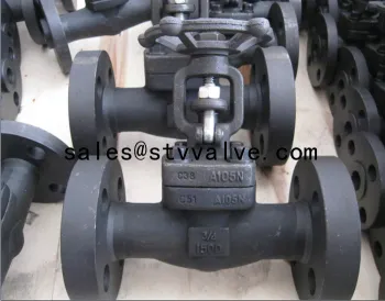 API/ANSI Flange forged steel valve