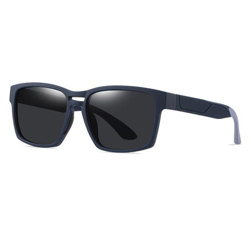 TR Polarized Sunglasses With Two-Tone Temples