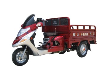 BS110ZH-4 tricycle