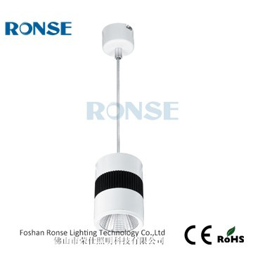 Ronse LED lights LED hanging lighting 10W