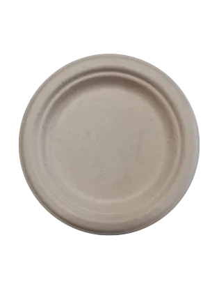 Customized party paper tableware bagasse dinner plate