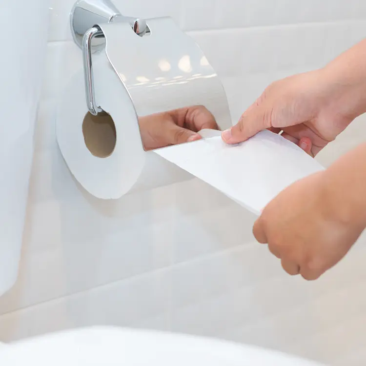 Portable Toilet Paper Portable Toilet Paper