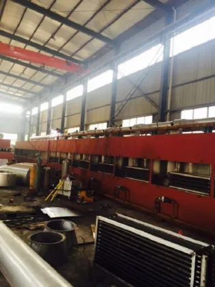 pork granules dehydration drier