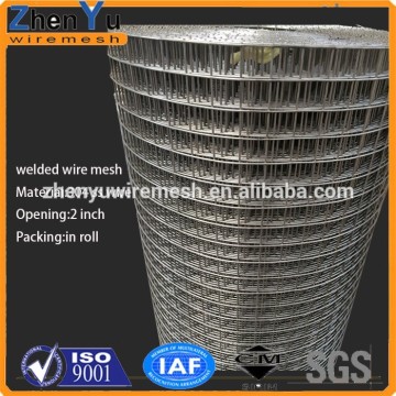Factory Hot Sale! 304 316 3/4 Inch Stainless Steel Welded Wire Mesh,best price welded wire mesh roll for sale