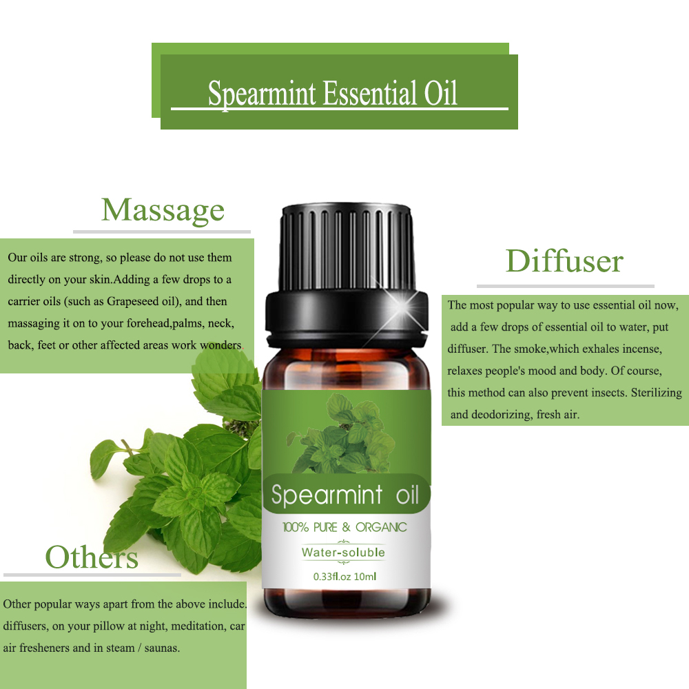 2022 Wholesale Spearmint Essential Oil For Digestion