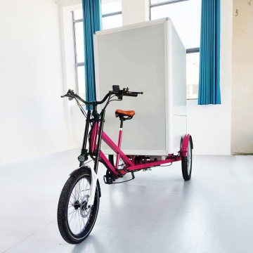 Electric Delivery Tricycle for Food and Cargo in China: 48V 750W with Cabin