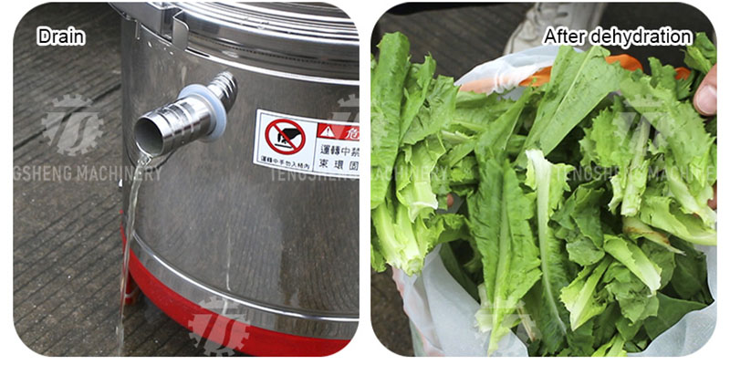 Commercial Lettuce Dryer