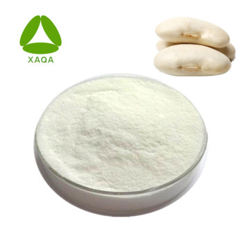 Kidney Bean Extract Powder 10:1 Phaseolin 1% 2%