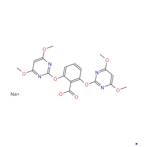 Bispyribac-sodium sc/od/wp cas: 125401-92-5 Agrochemcals Herbizide