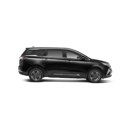 2023 Dayun Brand New Energy Electric Vehicle