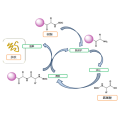 Resins for Solid Phase Synthesis SPAR120