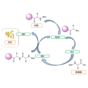 Resins for Solid Phase Synthesis SPRA 120