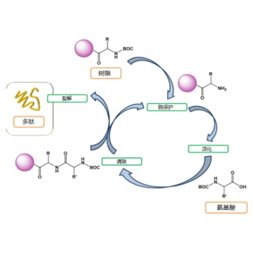 china monodisperse reversed phase polymeric resin macroporous adsorbent resin for peptide manufacturer and supplier