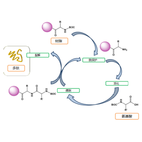 Resins for Solid Phase Synthesis SPMR120