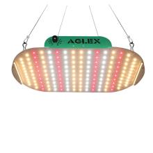 Quanten -LED -Wachstum von Lichtplatten 100W Vollspektrum