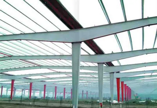 High Quality Designed Light Steel Structure Building Workshop