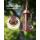 2 in 1 Thistle Bird Feeder for Outdoor