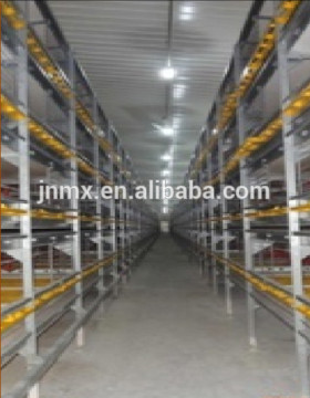 New Design 20000 birds automatic chicken layer cage/quail cage