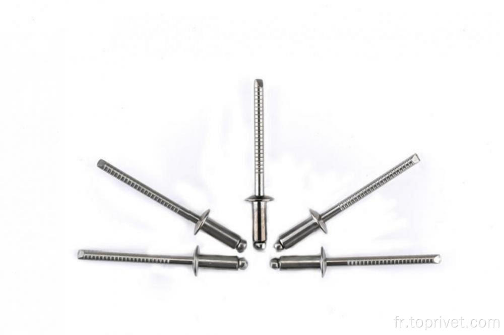 Rivets aveugles ouverts en acier inoxydable de 6,4 mm