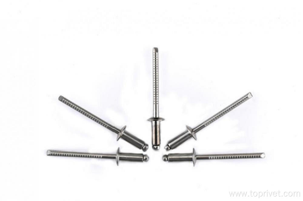 Stainless steel dome head open end blind rivets