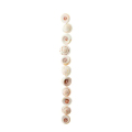 Craft White Swirl Shell Beads για την κατασκευή κοσμημάτων
