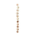 Craft White Swirl Shell Beads for Jewelry Making