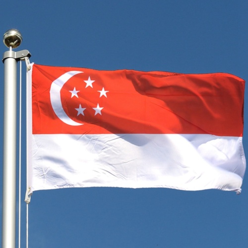Polyester Material National Country Singapore Flag