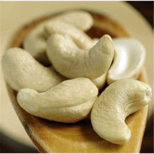 cashew bearbetningsanläggning rå torkade cashewnötter indonesien